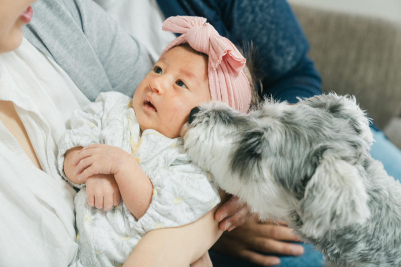 母親に抱かれたピンクのヘアバンドを身に付けた赤ちゃんの頬を鼻で触れる犬の様子