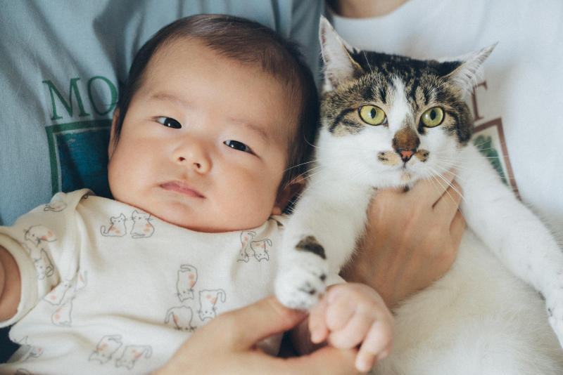 抱っこされながら並んで写る赤ちゃんと白黒の猫