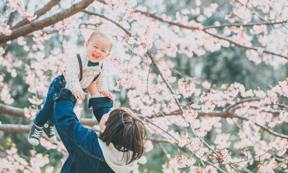 桜×入園/入学・卒園/卒業