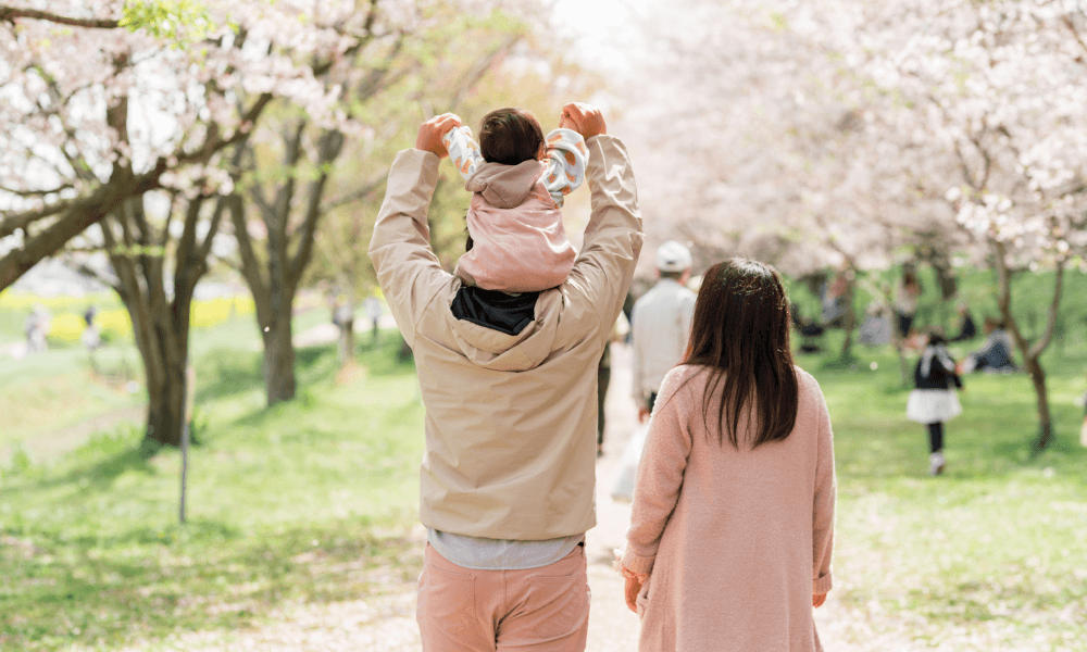 桜×入園/入学・卒園/卒業