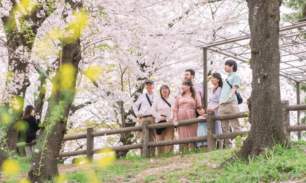 桜×入園/入学・卒園/卒業