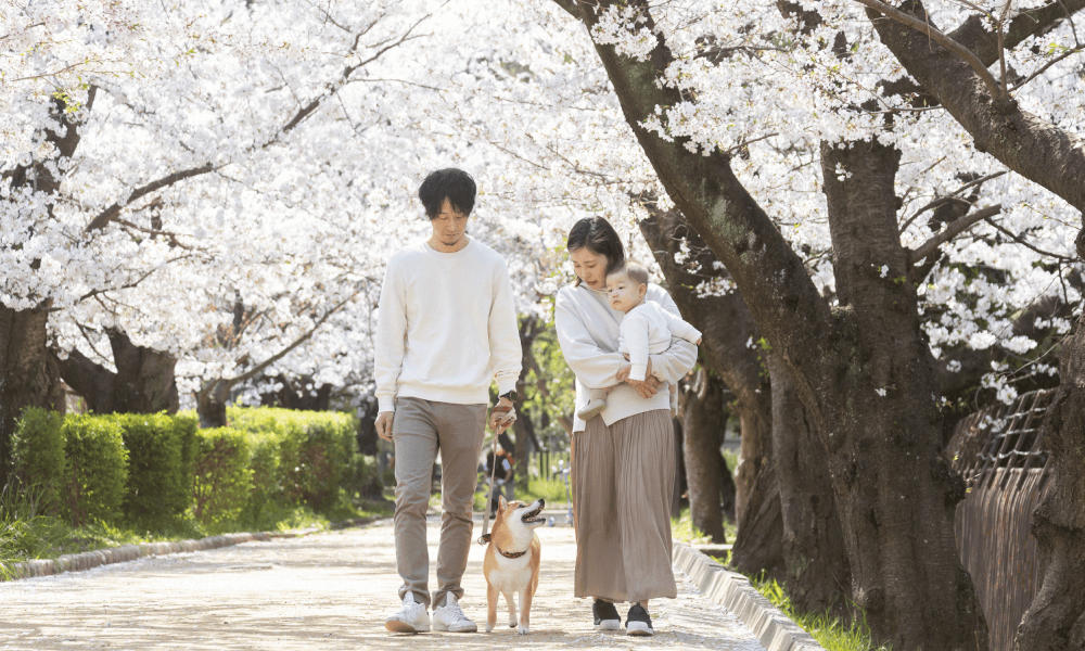 桜×入園/入学・卒園/卒業